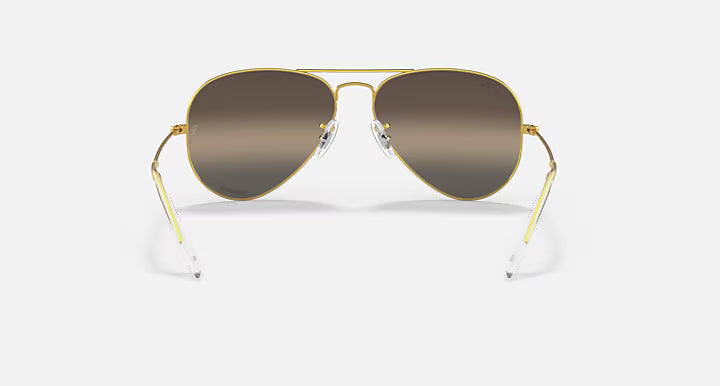 AVIATOR POLARIZED+ LENSES