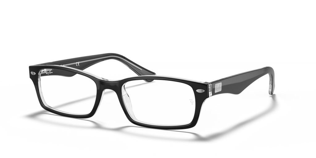 RB5206 OPTICS