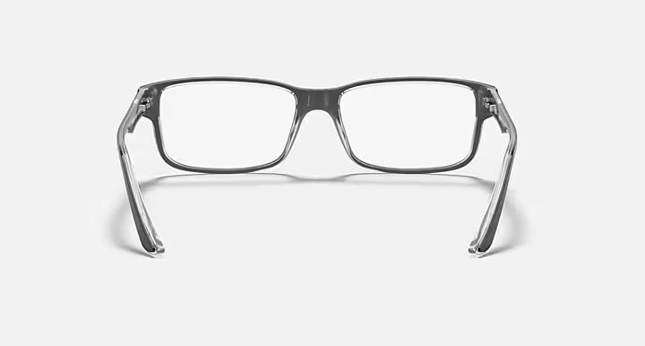 RB5245 OPTICS