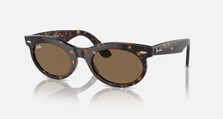 WAYFARER OVAL TRANSITIONS®